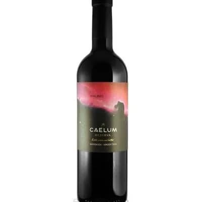 CAELUM RESERVA MALBEC 750CC