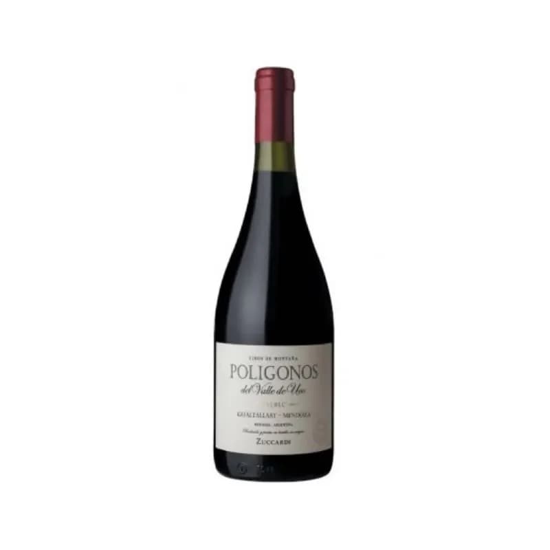 POLIGONOS  GUALTARY MALBEC