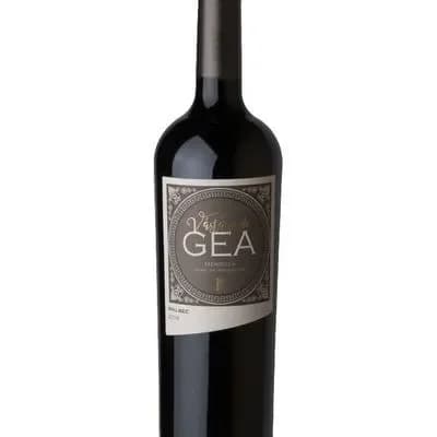 VASTAGO DE GEA MALBEC 750CC